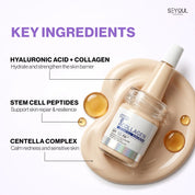 Timeless Radiance Routine